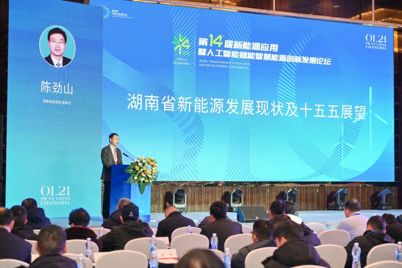 湖南省能源局副局長陳勁山以《湖南省新能源發展現狀及“十五五”展望》為主題演講。受訪單位供圖