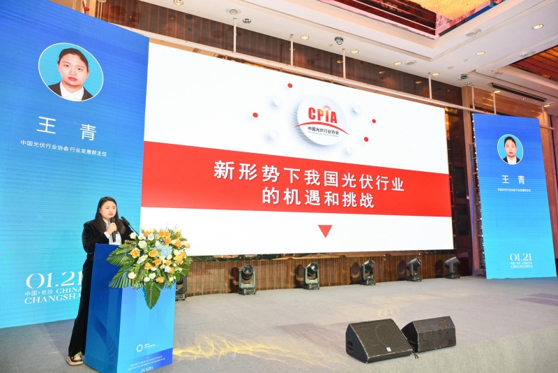 中國光伏行業協會行業發展部主任王青解析《新形勢下我國光伏行業的機遇與挑戰》。受訪單位供圖
