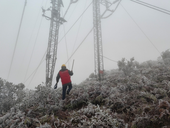供电人员在35千伏贝姑线开展线路巡视工作。受访单位供图