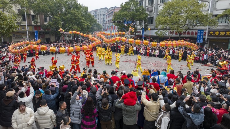 現場舞龍比拼。受訪單位供圖