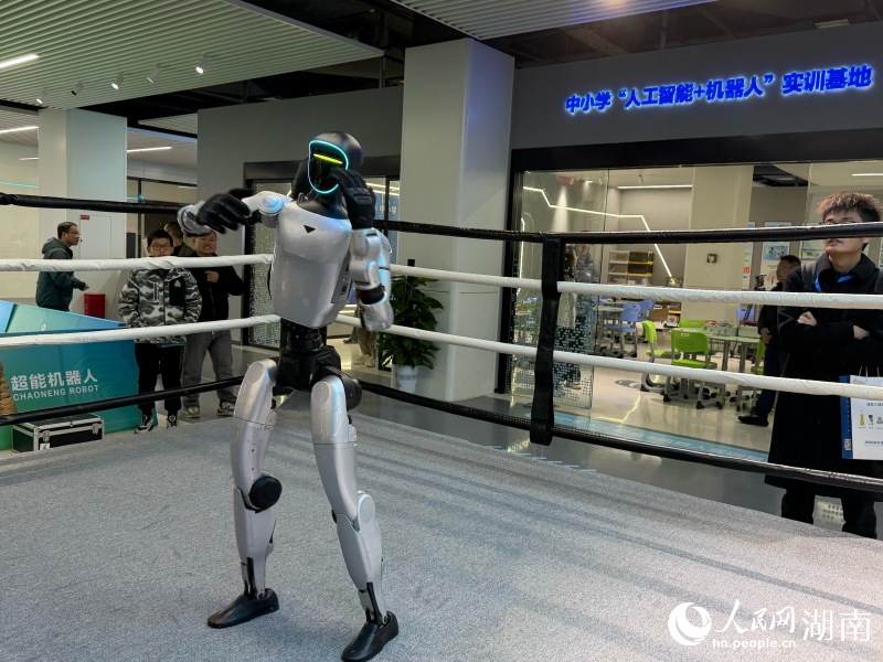 机器人打拳击。人民网记者 林洛頫摄