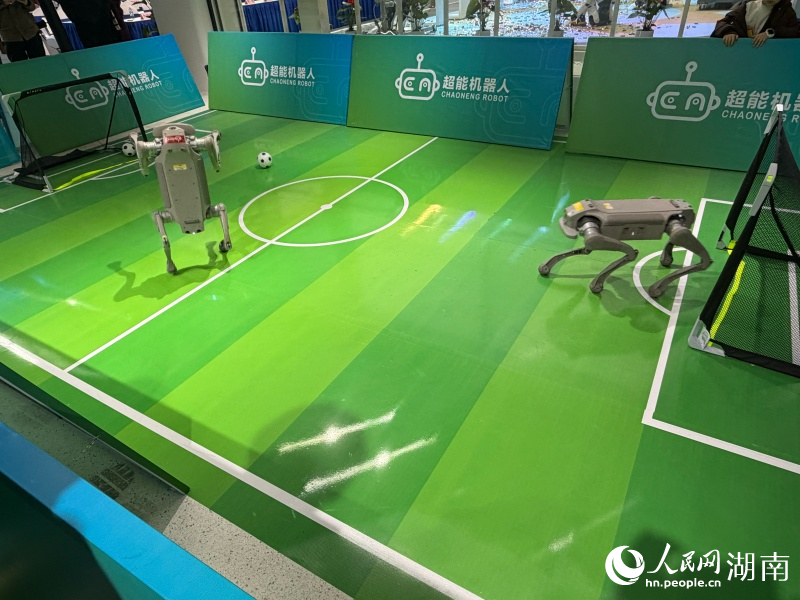 机器人踢足球。人民网记者 林洛頫摄