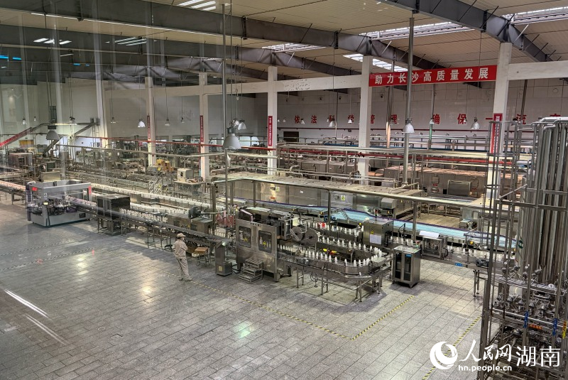 小洋人自動化生產線。人民網記者 林洛鈷攝