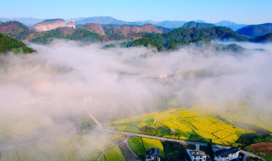 崀山花海。受訪單位供圖