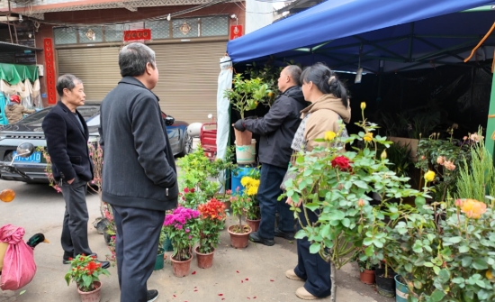 ������ľ�г�����ѡ��������ľ��������