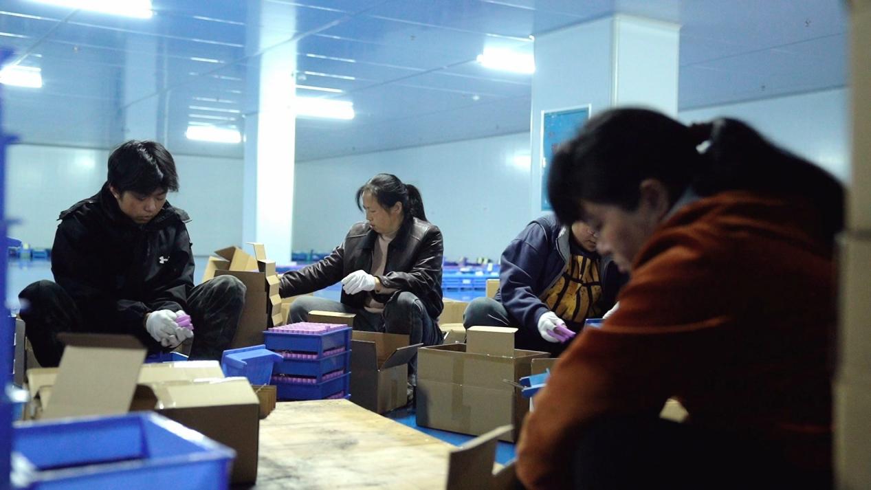沃尔顿生产车间内。受访单位供图