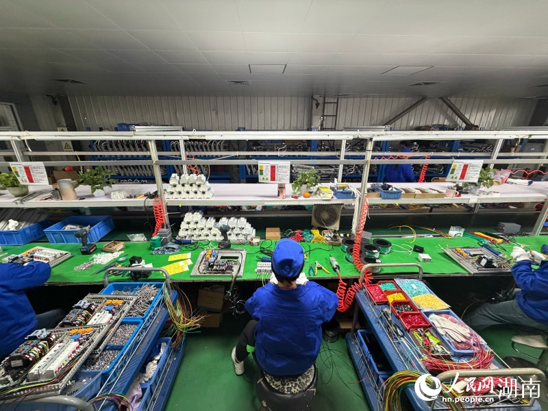 工人正在車間進行作業。人民網記者 林洛頫攝