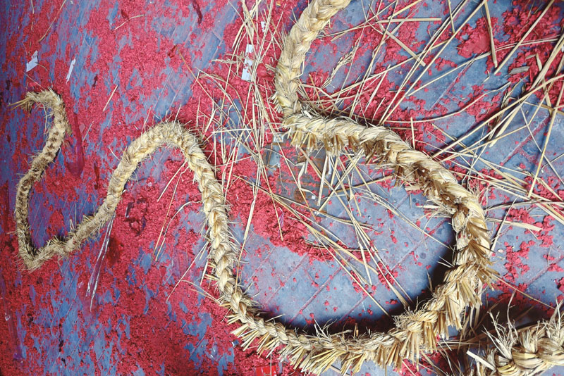 龙身蜿蜒福泽绵长。蒋淑芬摄