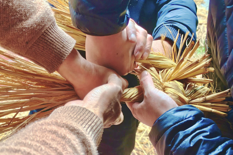 同手共力只为一龙。蒋淑芬摄