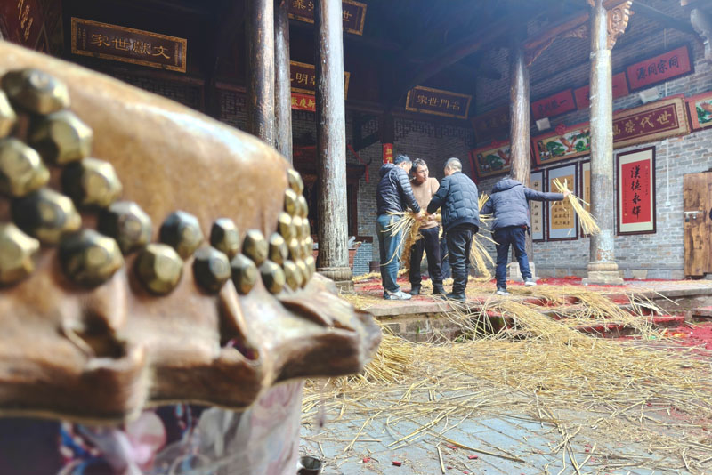 众人齐心编稻草龙。蒋淑芬摄