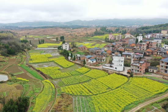 ������������Сƺ�����Ͳ˻�������������