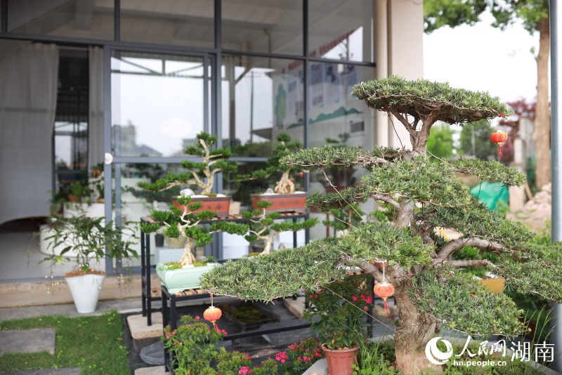 造型景觀。人民網記者 林洛頫攝