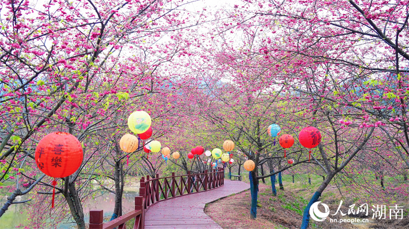 漫步花海。人民網記者 吳茜薇攝