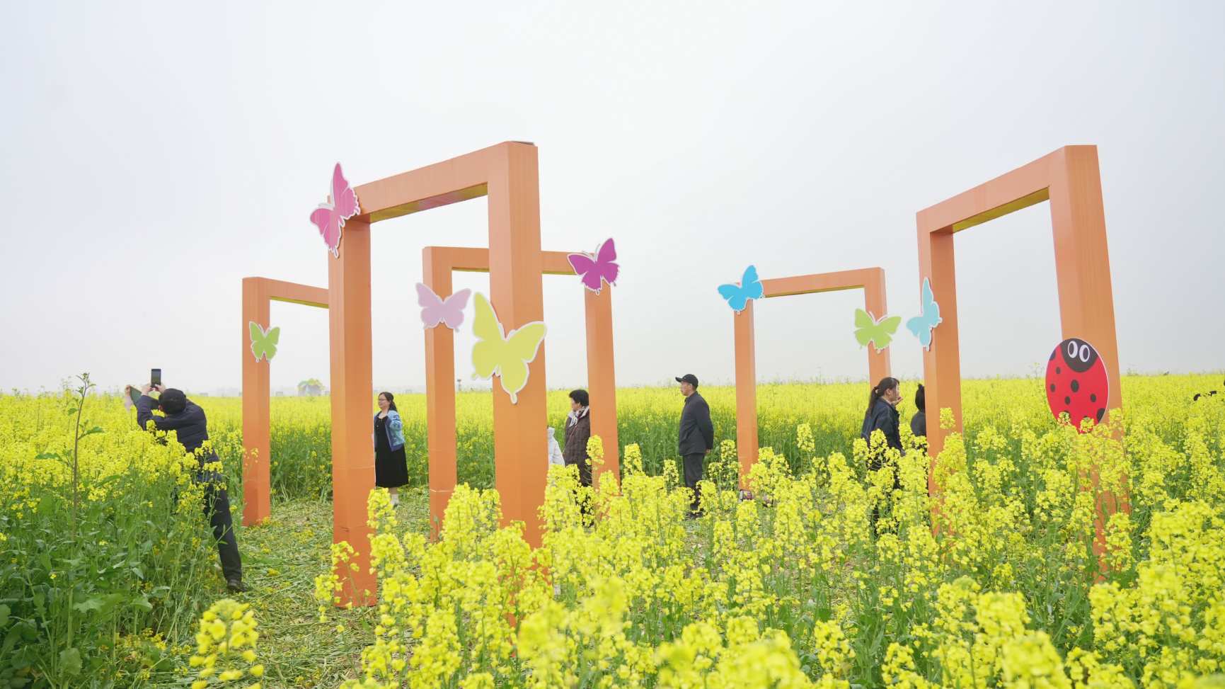 “花海+古塔”双轮驱动，打造春日文旅盛宴