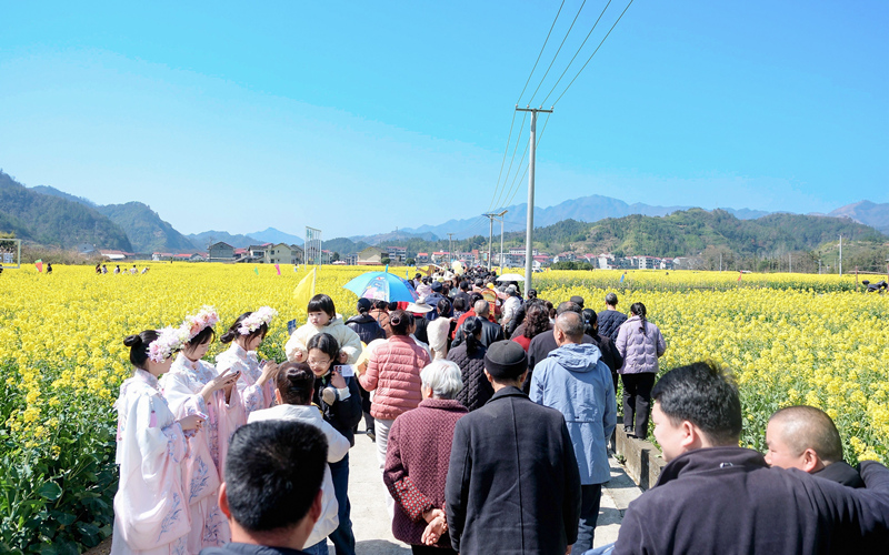 ���ϰ������Ͳ˻������������硱������