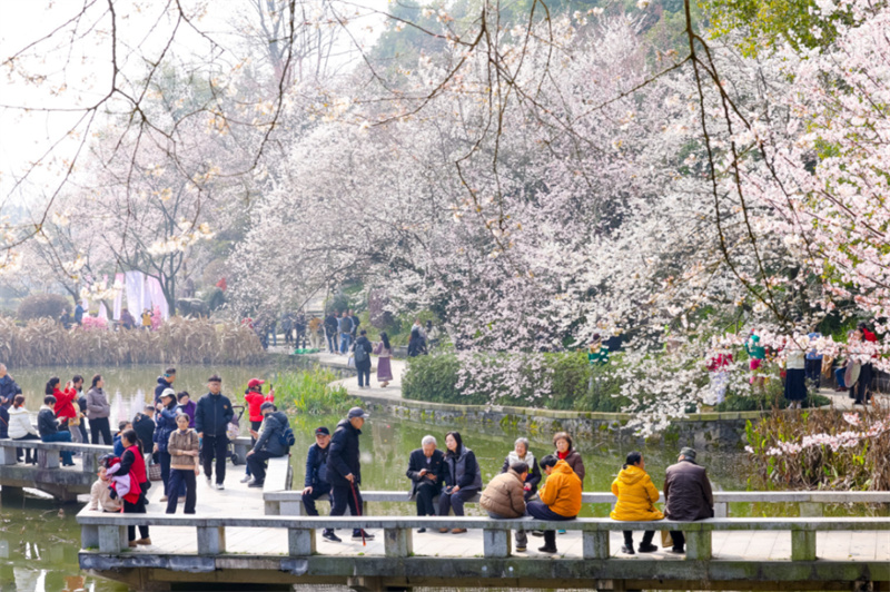 園內游人眾多。主辦單位供圖