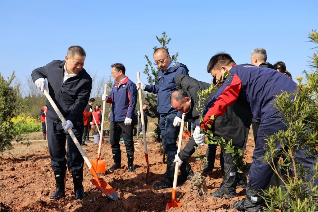 湖南石油干部员工在洞阳服务区开展义务植树活动。邹斯芹摄