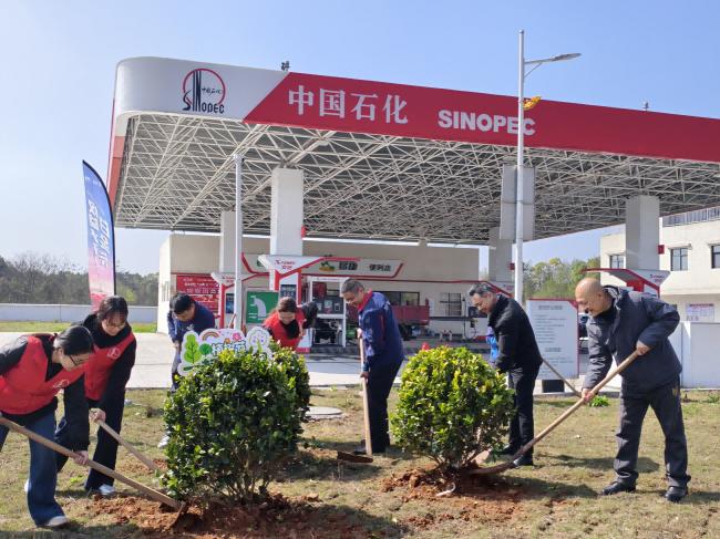 员工与志愿者在加油站开展植树活动。单位供图