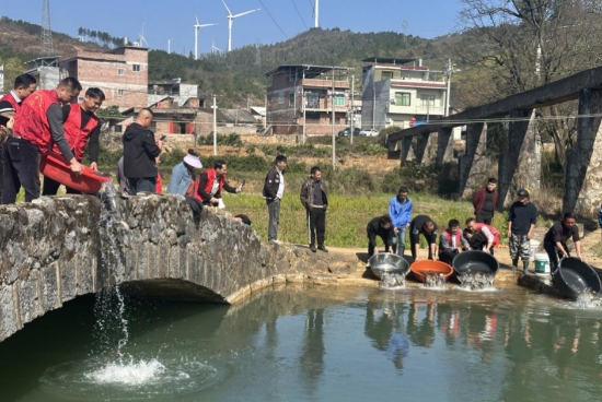 大路铺放鱼现场。盘训校摄