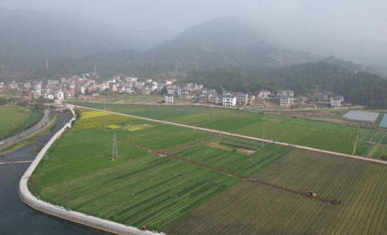 在东升农场连片种植基地内，工人们正忙着安装新型灌溉设备。黄新摄