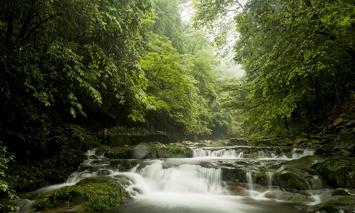 借母溪风光。受访单位供图