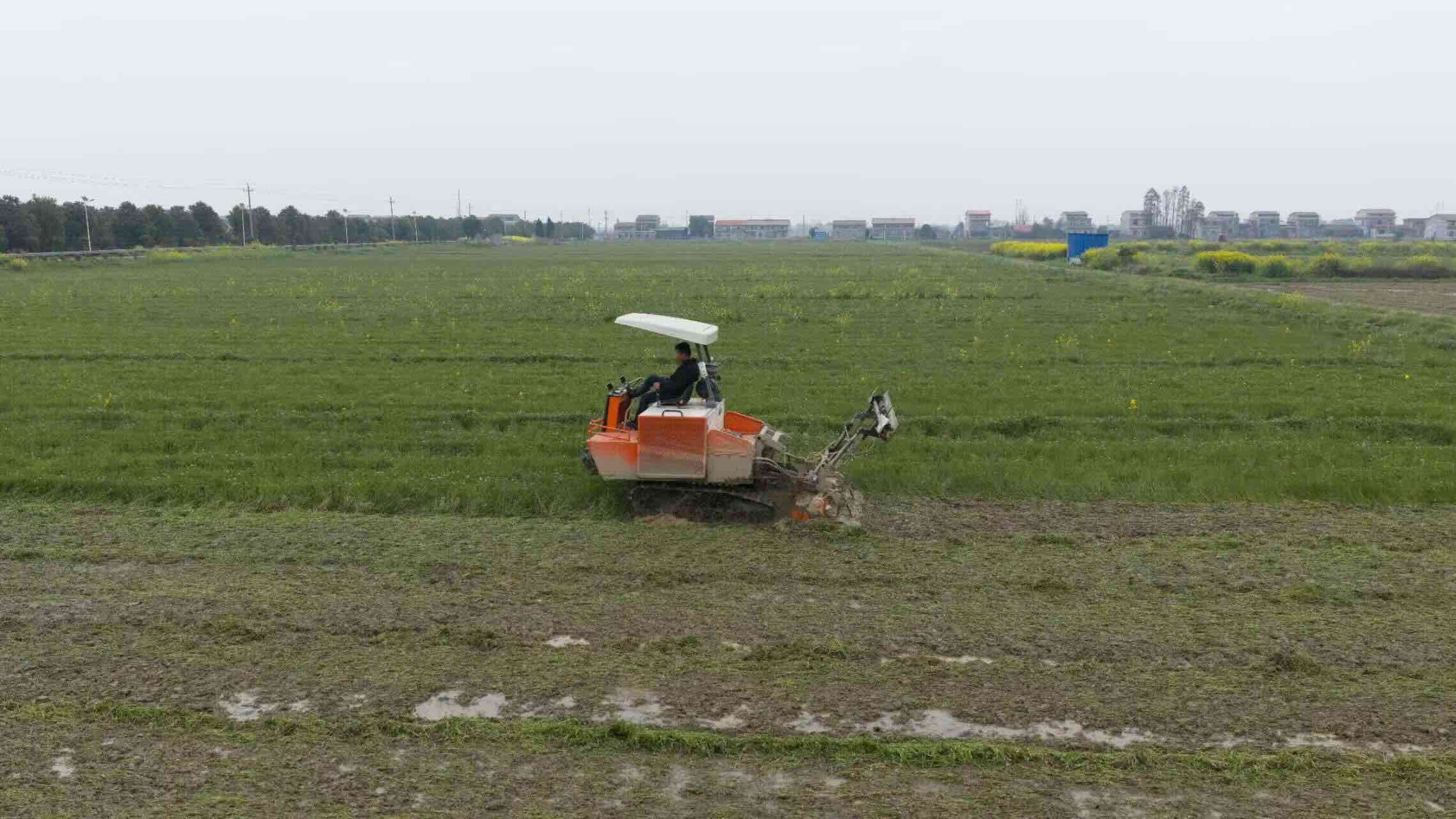 鹤龙湖镇千亩绿肥示范片内,旋耕机来回穿梭平整土地。单位供图