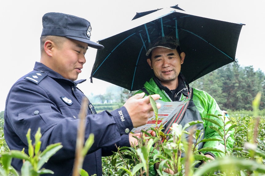 葫芦派出所组织民辅警深入黄金茶茶园，开展反诈、交通安全宣传活动（单位供图）