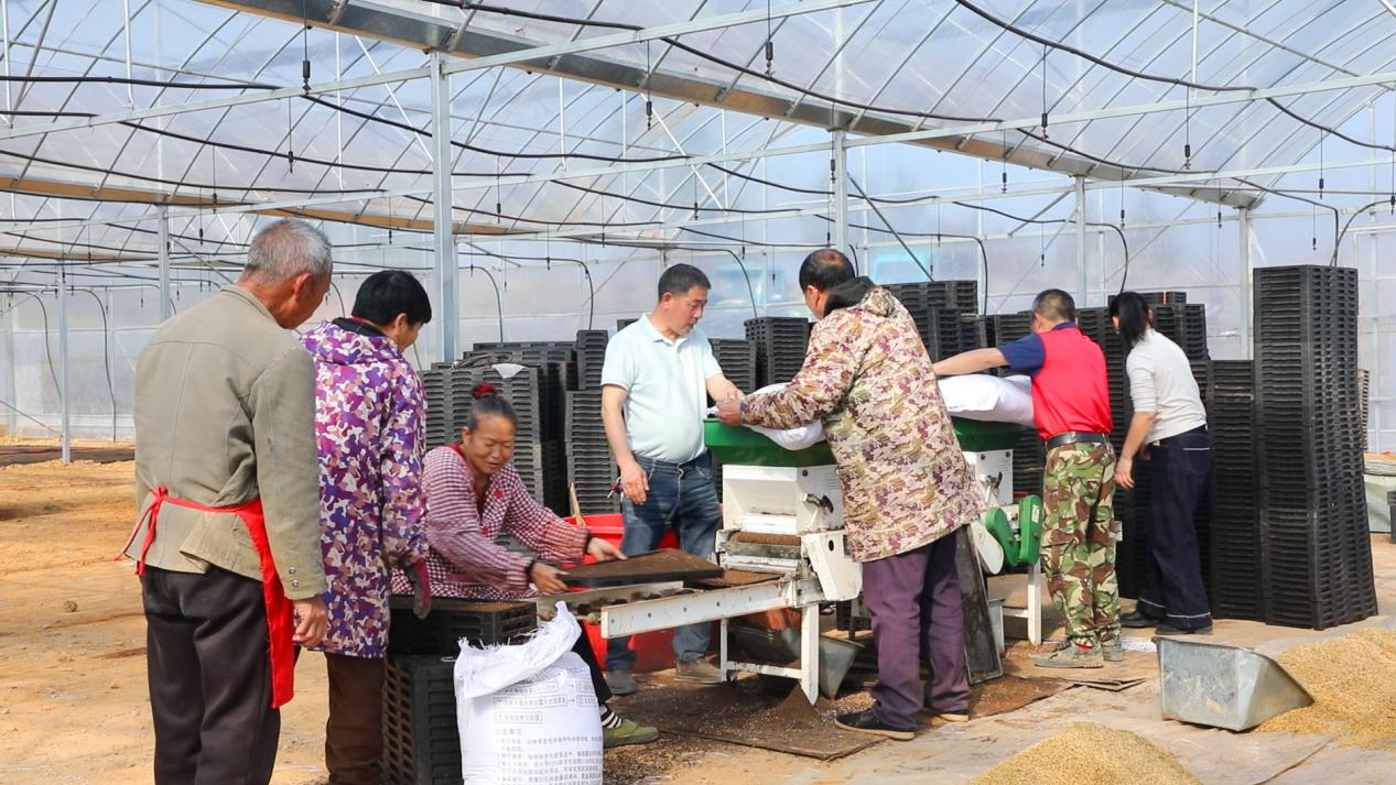 党员农技队现场“手把手”教学。唐桂海摄