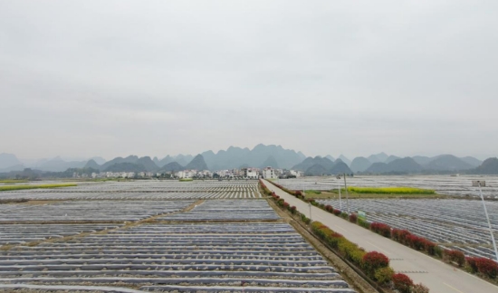 周家坝村片永久基本农田示范区。黄凌燕摄