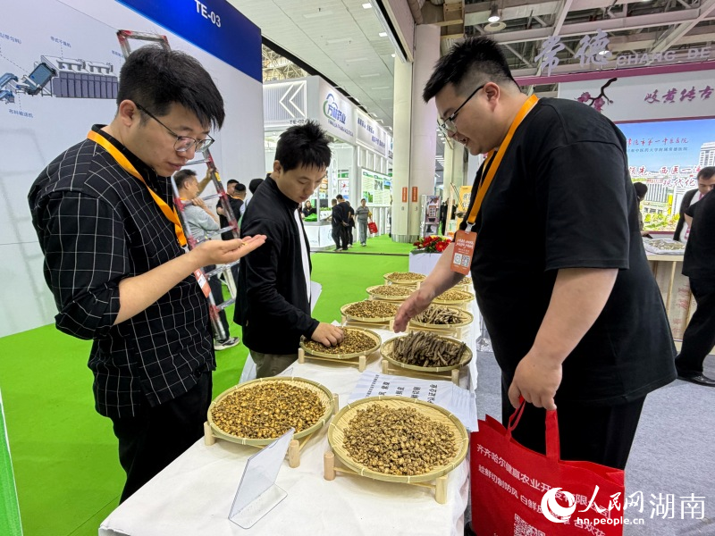 博览会现场。人民网记者 林洛頫摄