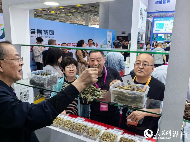 博览会现场。人民网记者 林洛頫摄