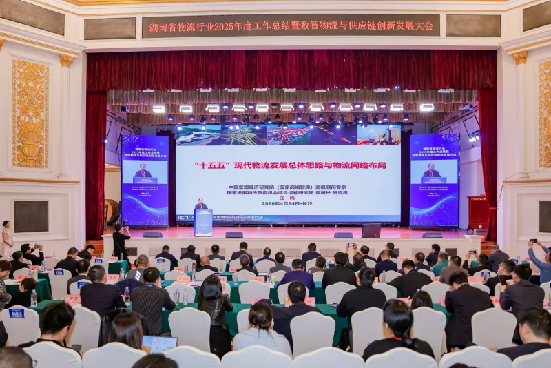 现场。受访单位供图