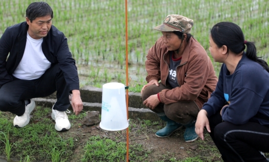 農技人員下沉田間講解綠色防控技術。楊振民攝