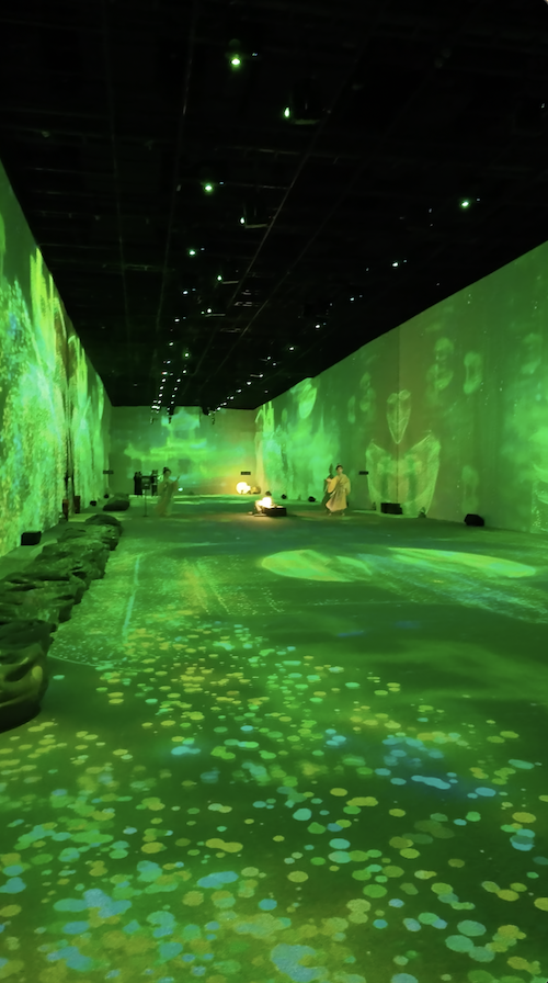 数字光影艺术展《千里江山奇幻游》的光影展厅。人民网记者刘汕 摄