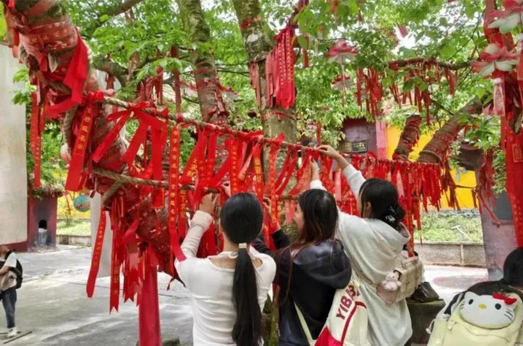 正在系紅帶的游客。單位供圖