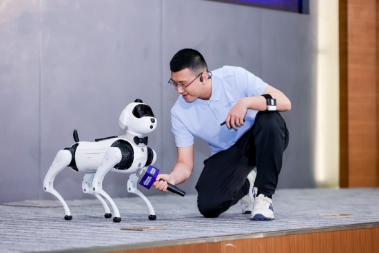 灵犀机器狗。受访单位供图