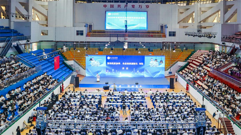 活动现场。主办单位供图