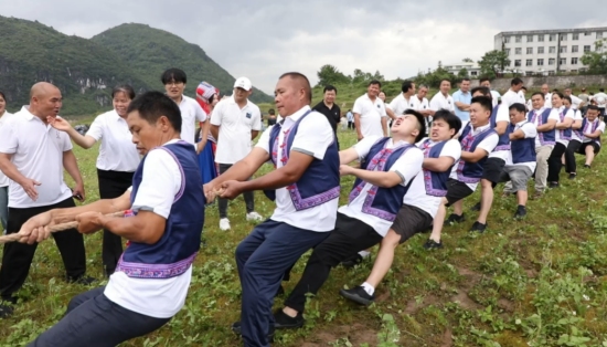 “牛王争霸”拔河比赛。张雨摄