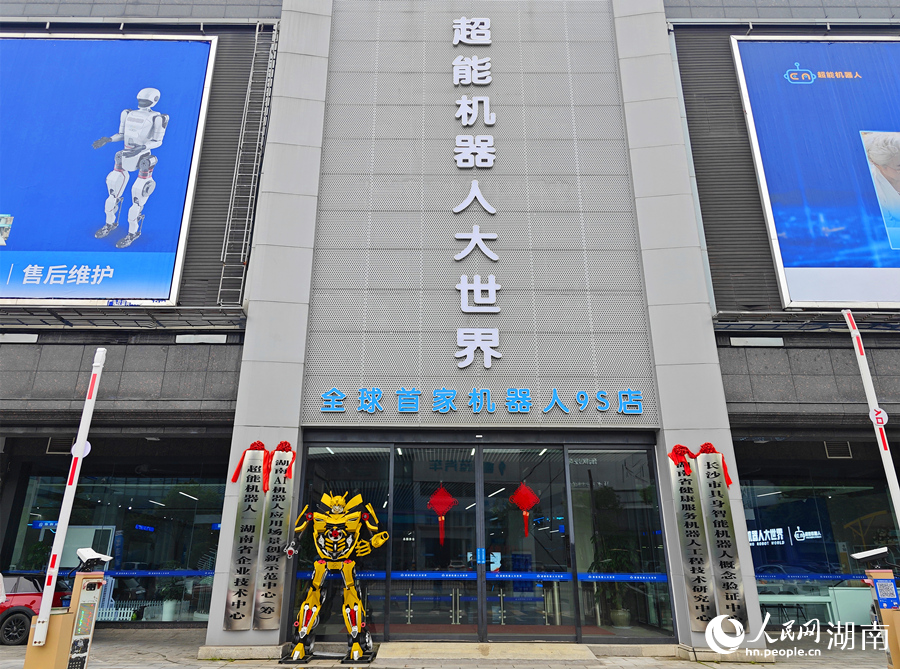 超能機器人大世界。人民網記者 劉賓攝