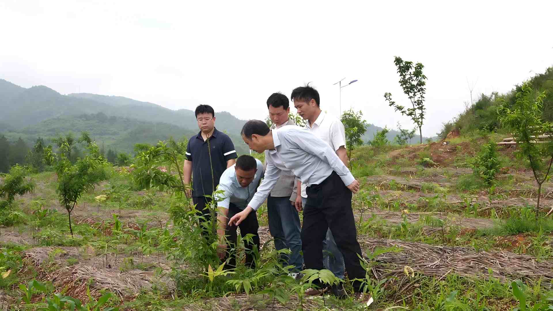 工作队带领村民开荒拓土。单位供图