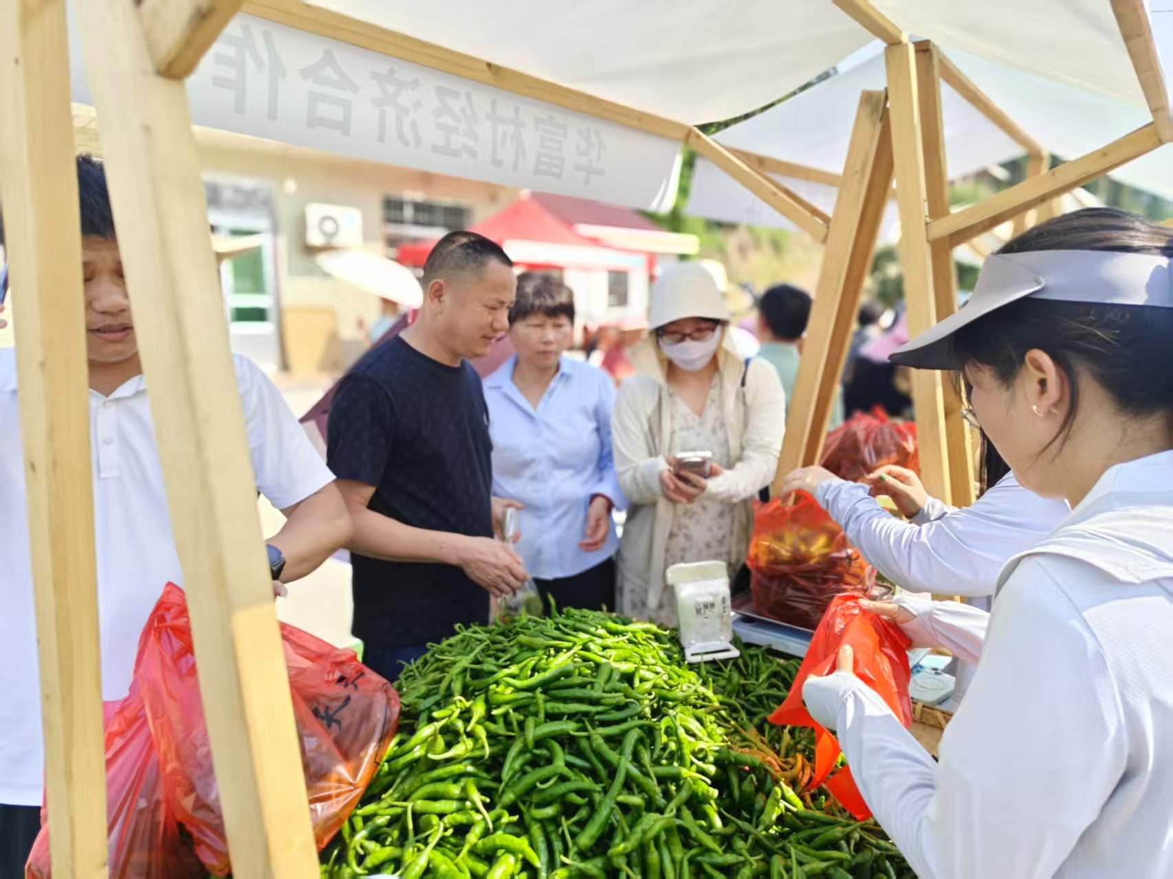 辣椒展销现场。单位供图