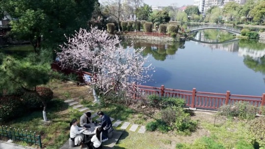 雨湖公园一角。景区供图
