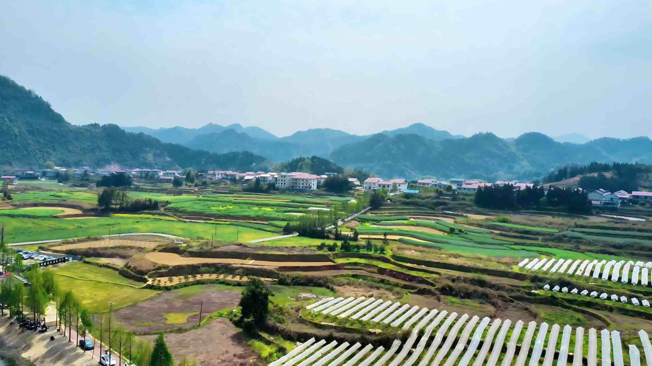 溪口村航拍图（局部）。受访者供图