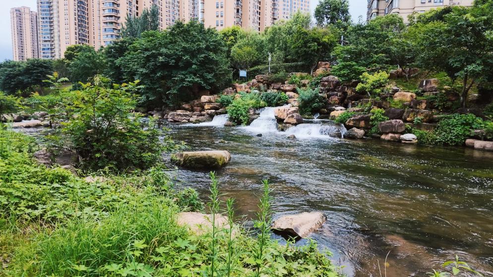 圭塘河潺潺流水。曹裕泽摄