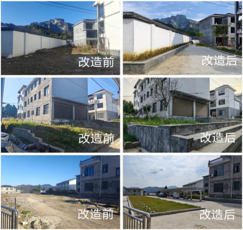改造前后对比。受访单位供图