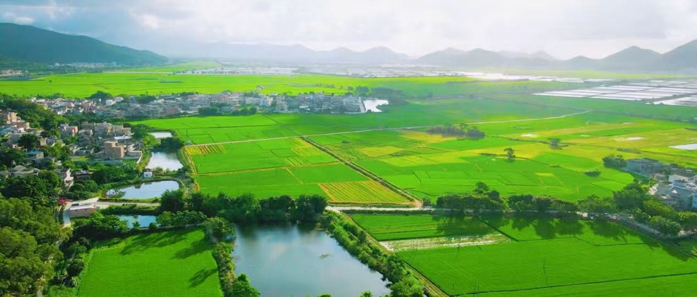 慈利县四通八达的农村公路串联起田园与村落，铺就山区群众致富路。受访单位供图