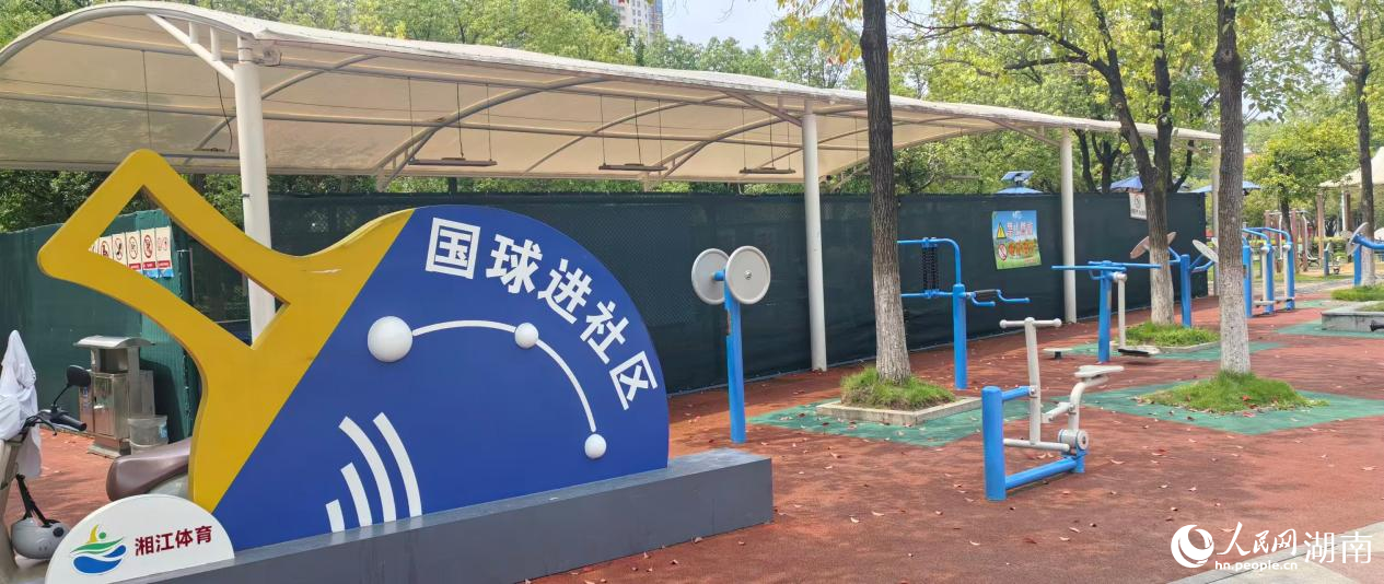 湖南湘江新区咸嘉新村国球进社区项目。人民网记者 匡滢摄