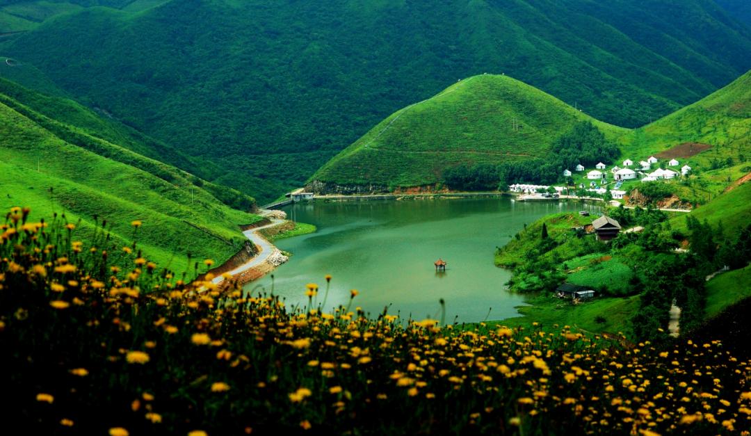 南山国家公园候选区。单位供图