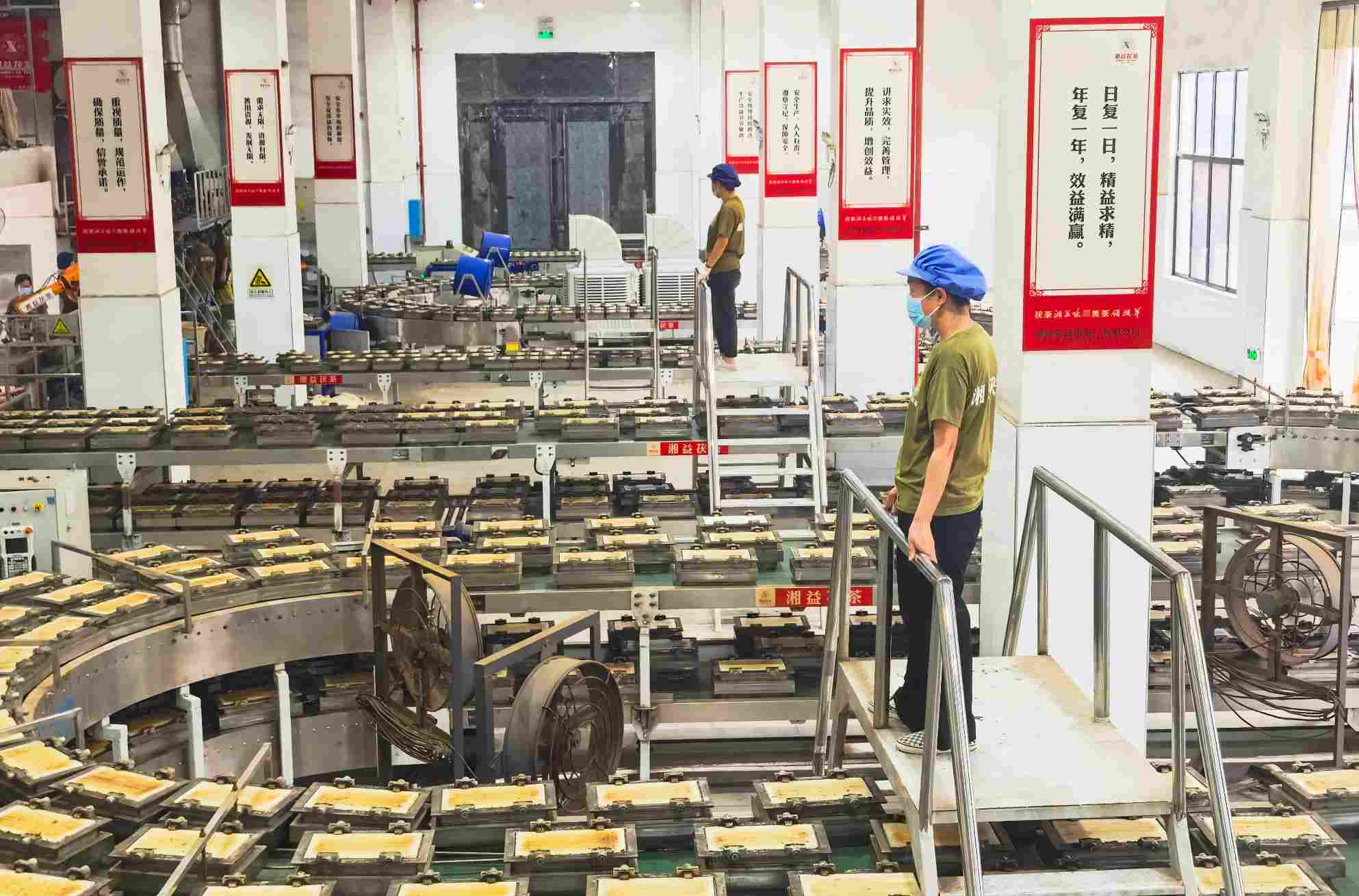 采风团参观益阳茶厂茯茶加工车间。单位供图