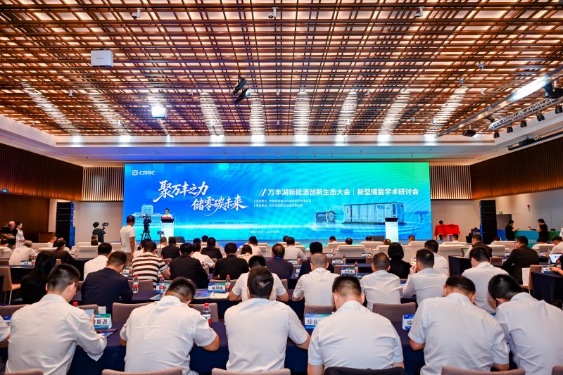 新型儲能學術研討會現場。受訪單位供圖